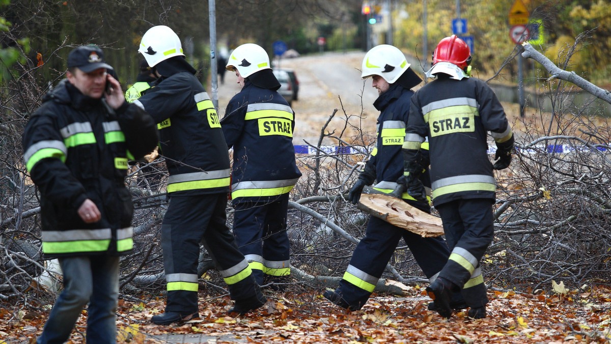 Od niedzielnego rana na Pomorzu wiał silny wiatr. W Sopocie zwalone wiatrem drzewo spadło na dwie kobiety - jedna z nich nie żyje, druga jest ciężko ranna. Niegroźne obrażenia odniosły też trzy inne osoby, w tym dwóch strażaków. W Pomorskiem bez prądu jest ok. 3 tys. odbiorców.