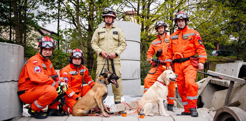 Oto psy ratownicze. Są zatrudnione w straży pożarnej