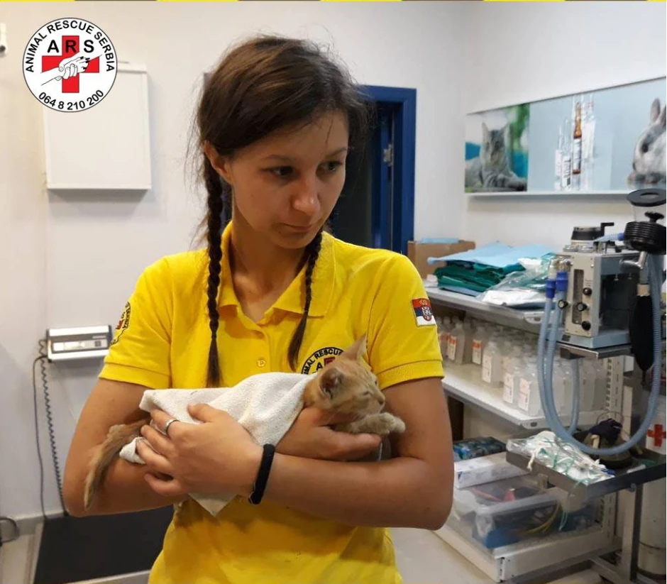 Nedavno je spaseno i mače koje je bilo zaglavljeno na prozoru koji je ostavljen na kip