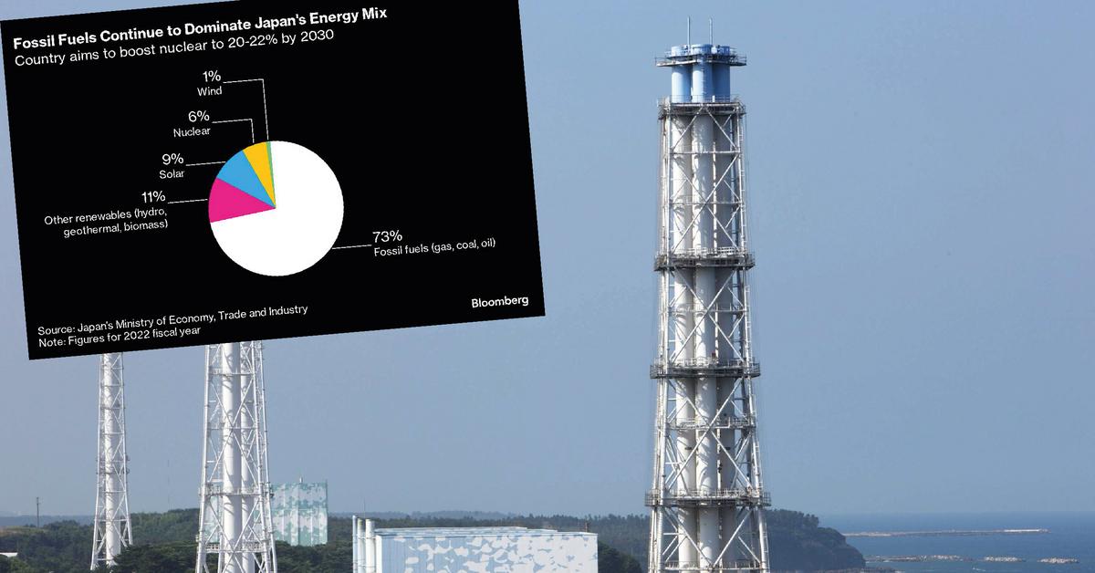  Nuklearny sojusz polityków. Kraj dotknięty katastrofą jądrową potrzebuje więcej energii z atomu