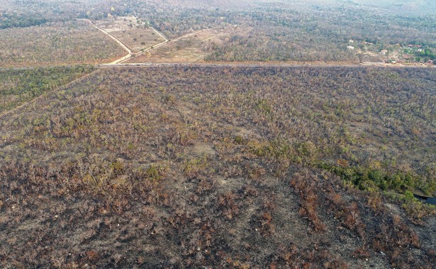 W większości kraju obserwujemy najwyższy stopień zagrożenia pożarowego