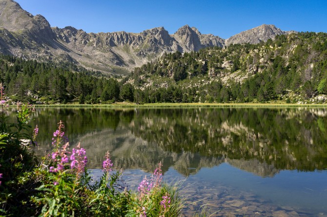 Andora
