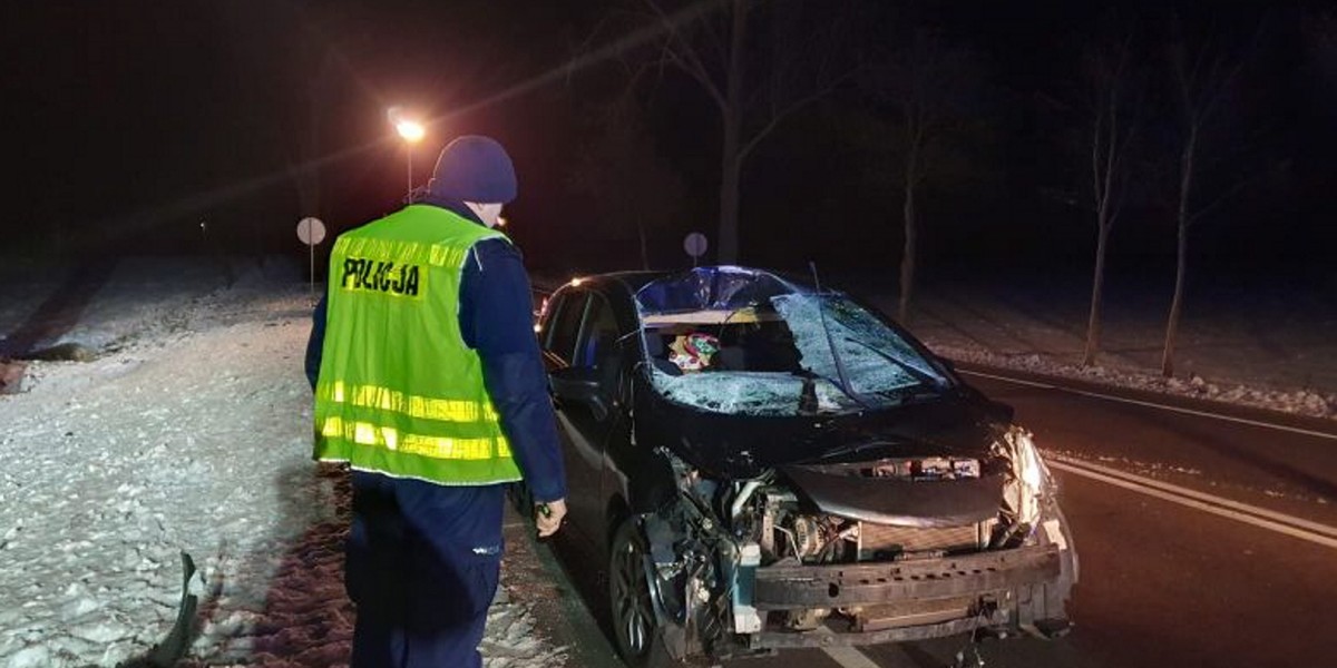 Groźny wypadek niedaleko Chojnic. Pod koła samochodu wbiegł łoś.