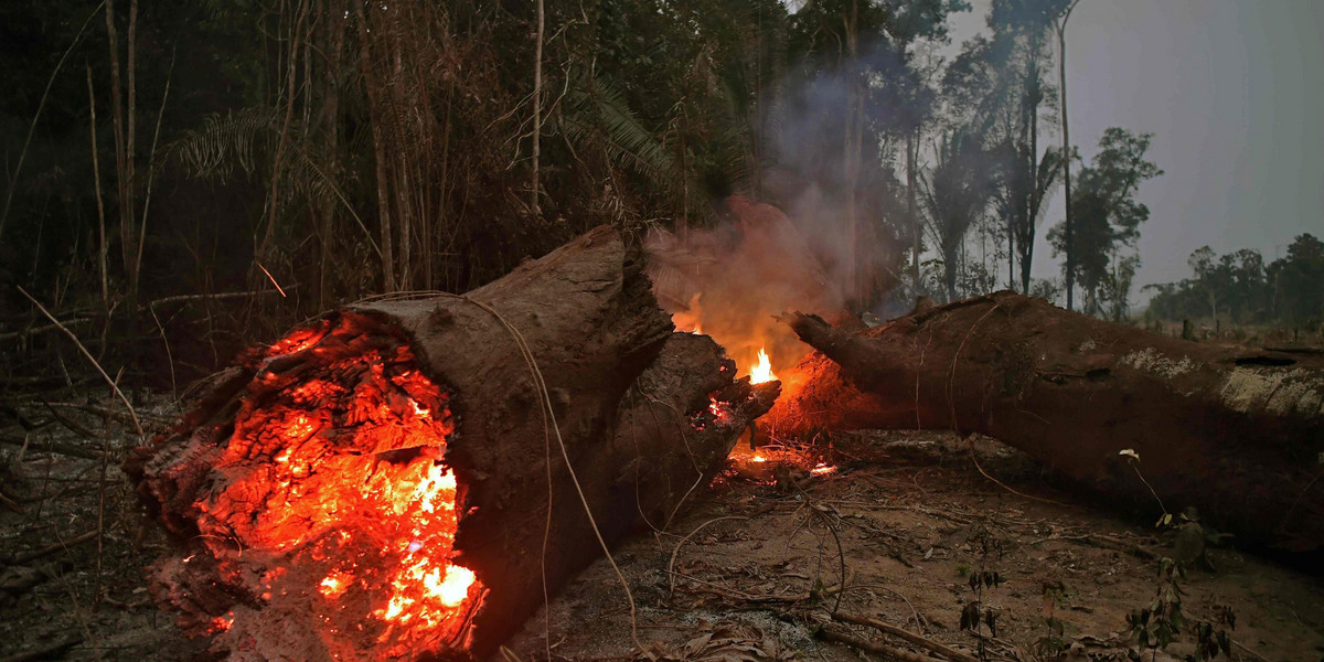 pożar lasu w Brazylii