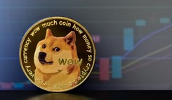 Słynny 'pieseł' z memów jest ciężko chory. Ma białaczkę