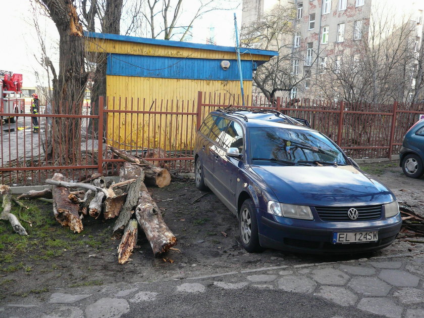 Wichura w Łodzi. Konar spadł na auto