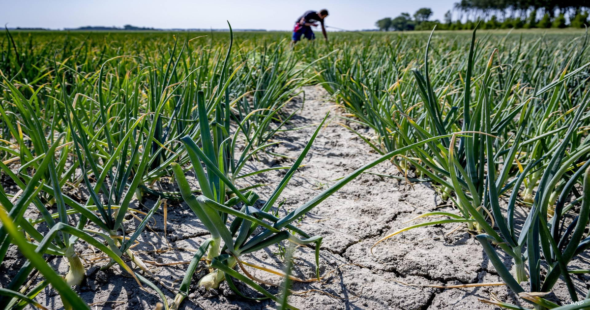 De Gezondheidsraad: snellere goedkeuring van natuurlijke gewasbescherming