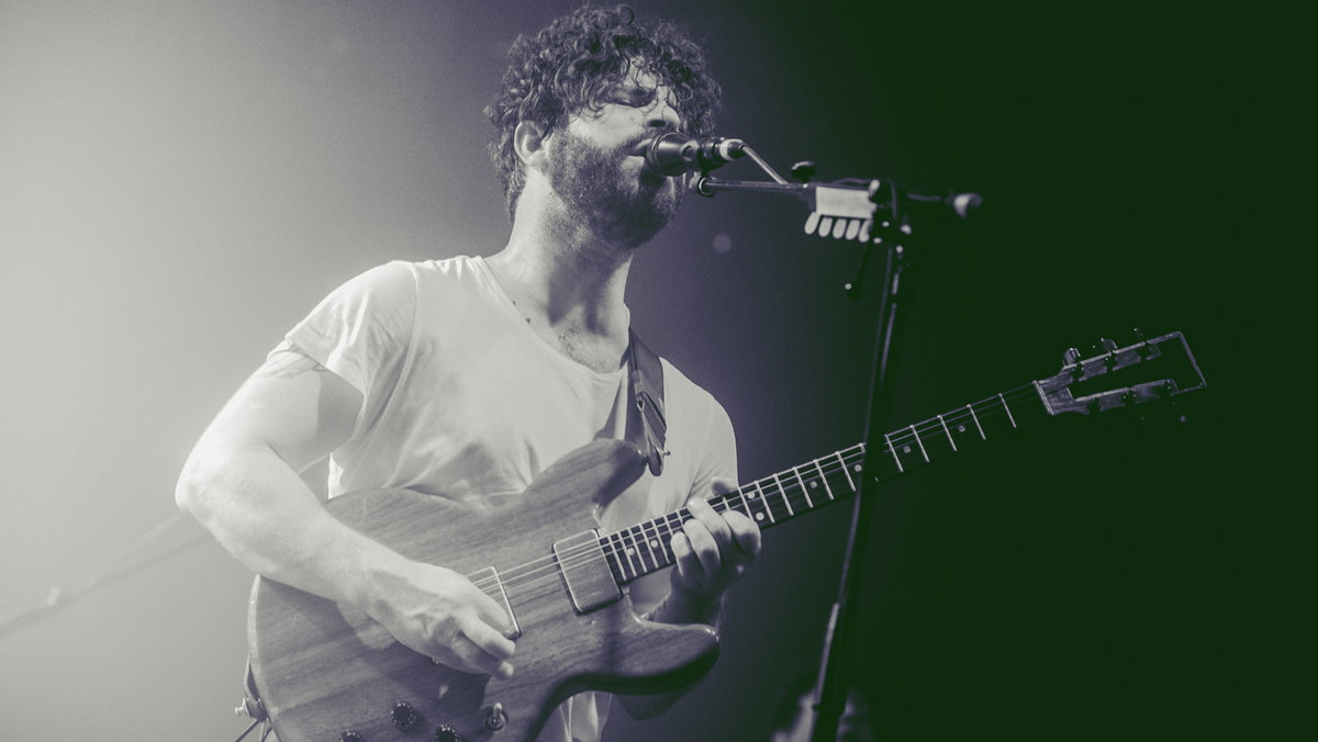 Foals