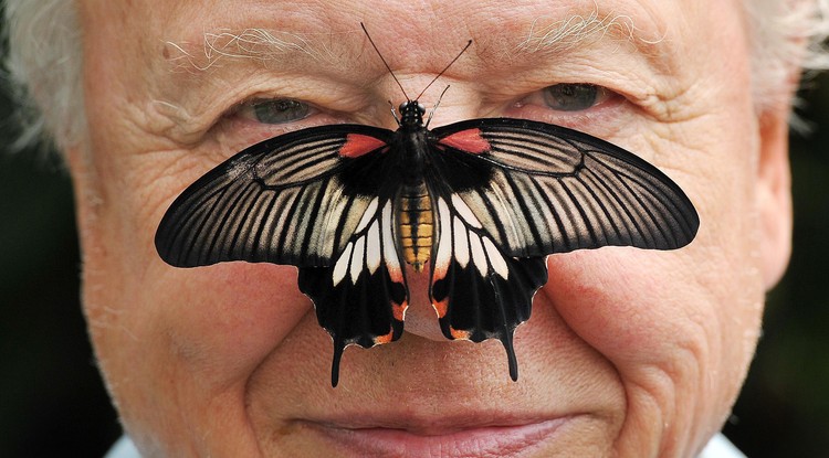 Sir David Attenborough