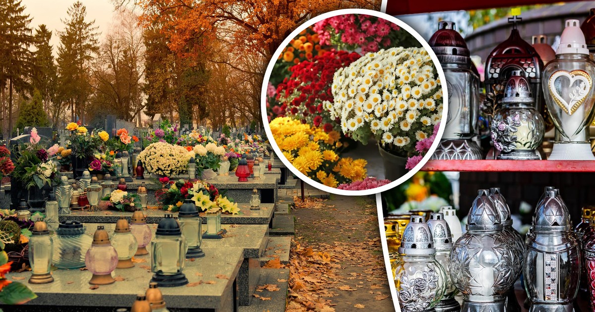 Zakupy na groby na ostatnią chwilę? Podpowiadamy, gdzie zrobisz je najtaniej