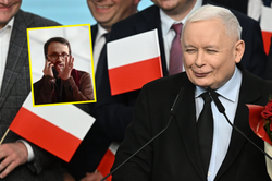 Wygrana PiS w wyborach. Zaskakujący komentarz Pereiry