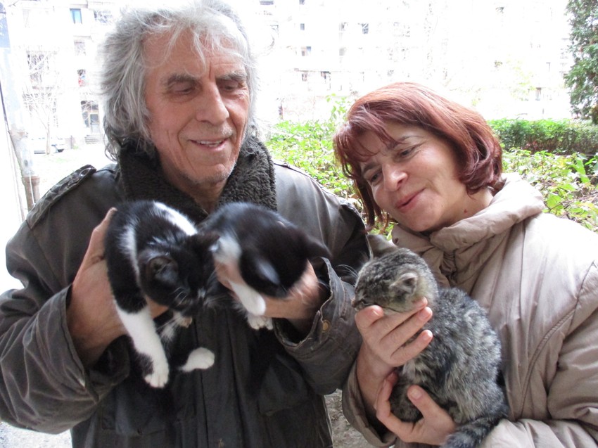 Kamenko poklanja svoju knjigu svakome ko pomogne nabavku hrane za mačke