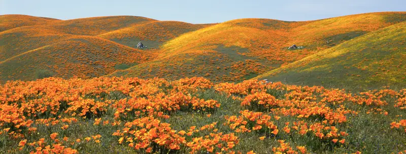 Antelope Valley