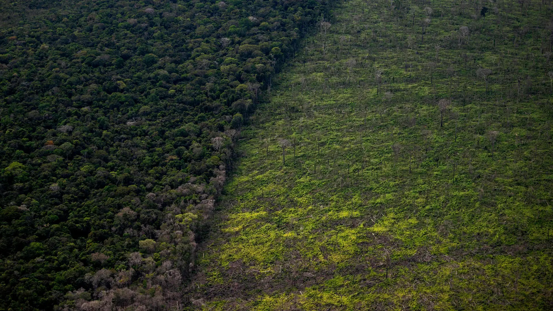 Rdzenne ludy ostrzegają: Amazonia umiera. Już niedługo nie będzie odwrotu