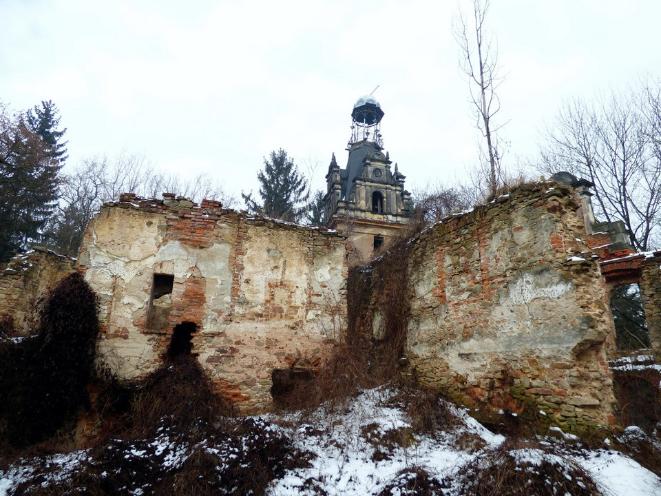 Ruina pałacu, luty 2017