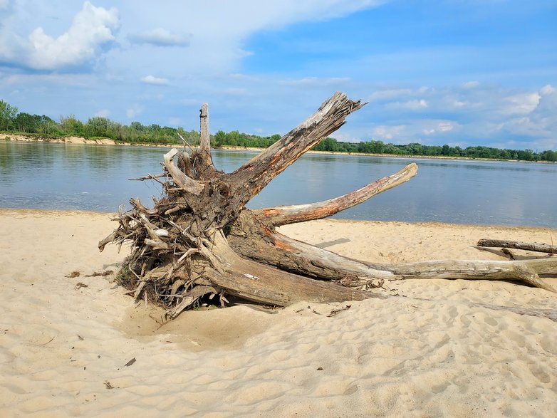 Plaża w Ciszycy