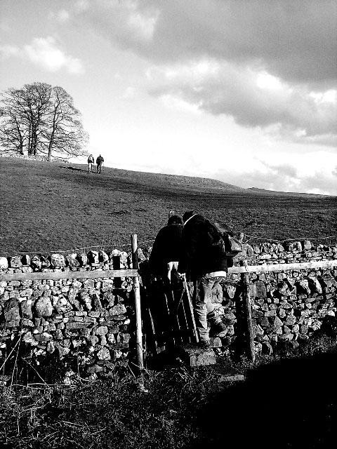 Galeria Wielka Brytania - Yorkshire Dales, obrazek 5