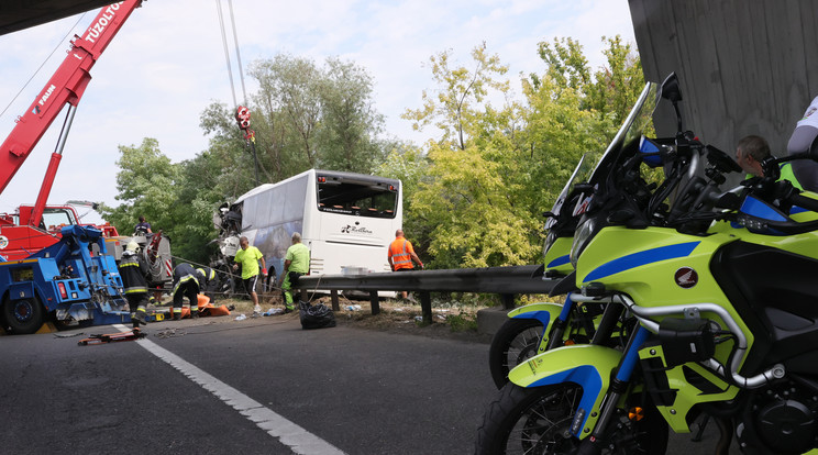 Megrázó képek az M7-es busztragédiáról / Fotó: Grnák László