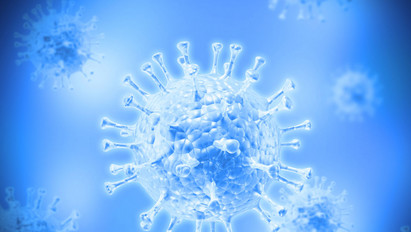 Újra támad a H1N1! Már ötvenen haltak meg az influenzában
