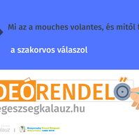 Mi az a mouches volantes, és mitől fordulhat elő?