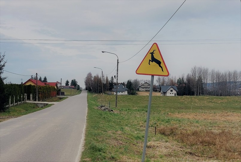 Znak A-18b Uwaga, dzikie zwierzęta