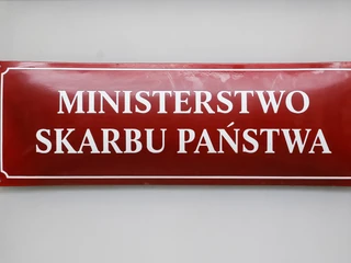 Ministerstwo Skarbu Państwa