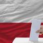 flaga, wybory, polska, głosowanie
