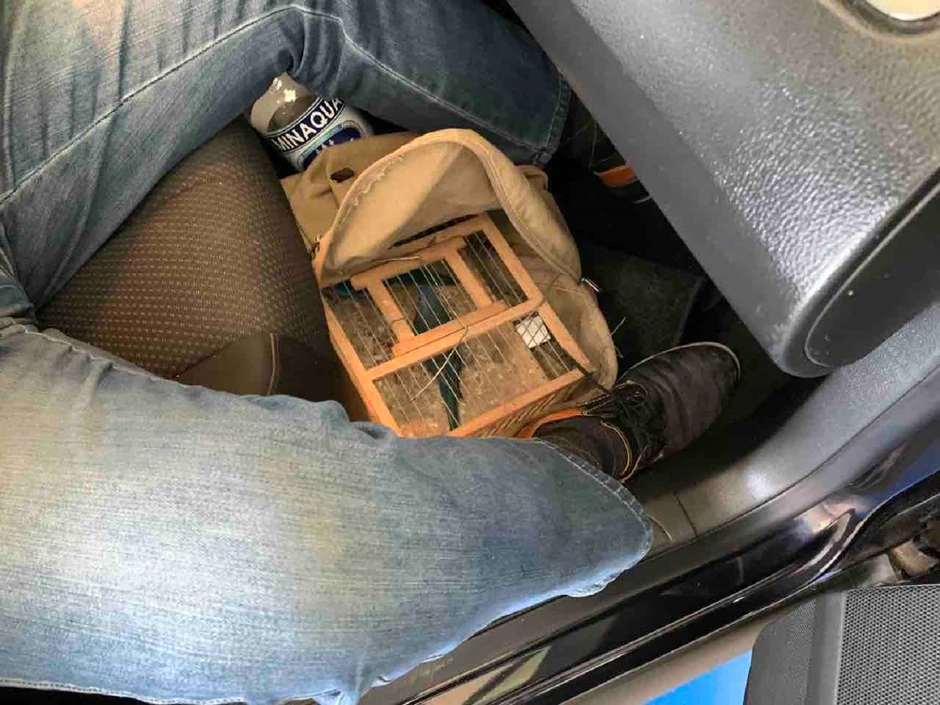 Torba sa kavezom Carina