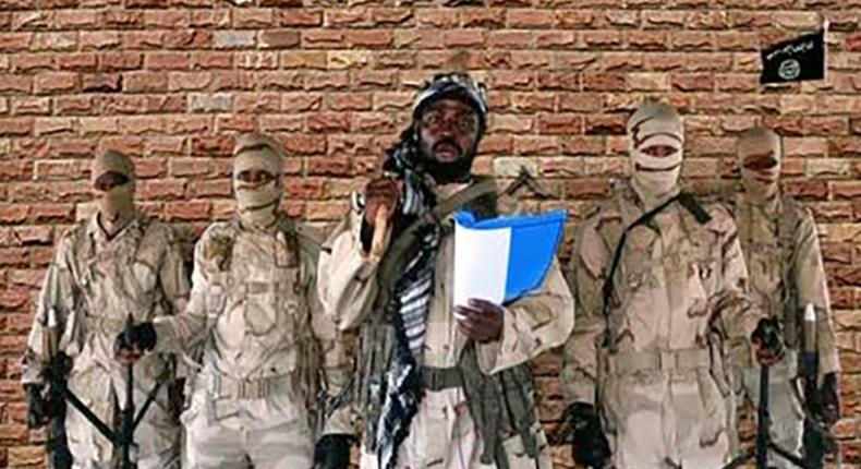 Boko Haram insurgents have been terrorising communities in  the Northern part of Nigeria for over a decade. (ABCNews)