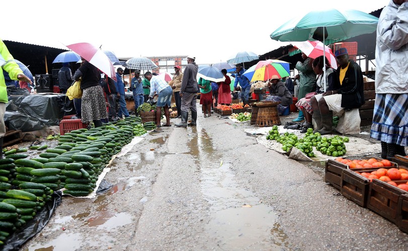 DUR BRZUSZNY CORAZ TRUDNIEJSZY DO OPANOWANIA W ZIMBABWE