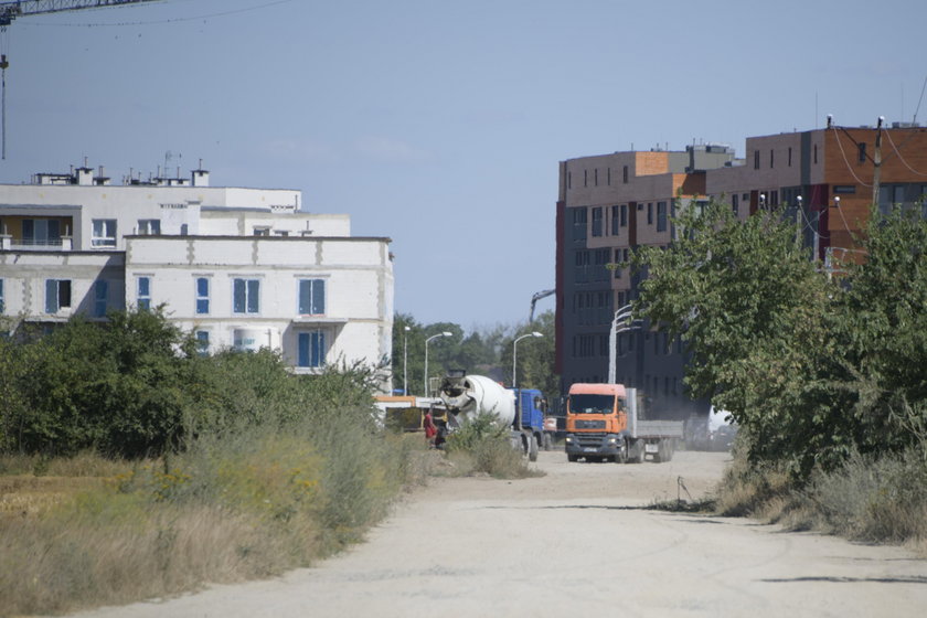 Buldożery rozjeżdżają Lipę Piotrowską