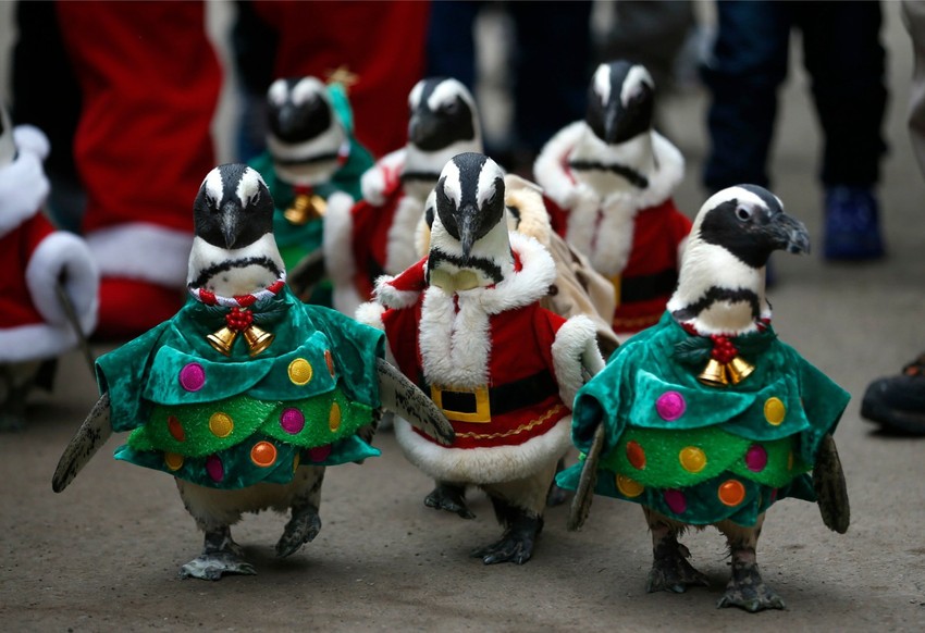 Najslađi Deda Mrazevi ikada