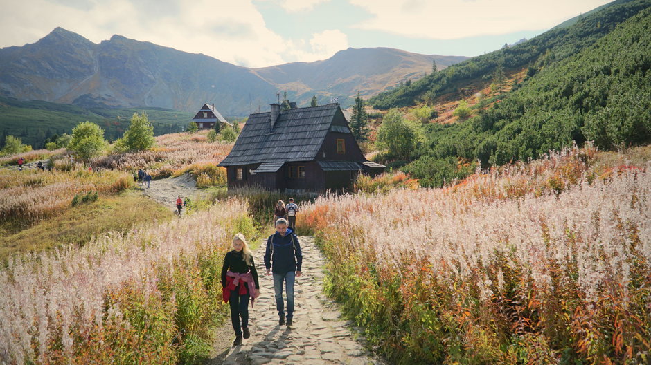 Hala Gąsienicowa, Tatry