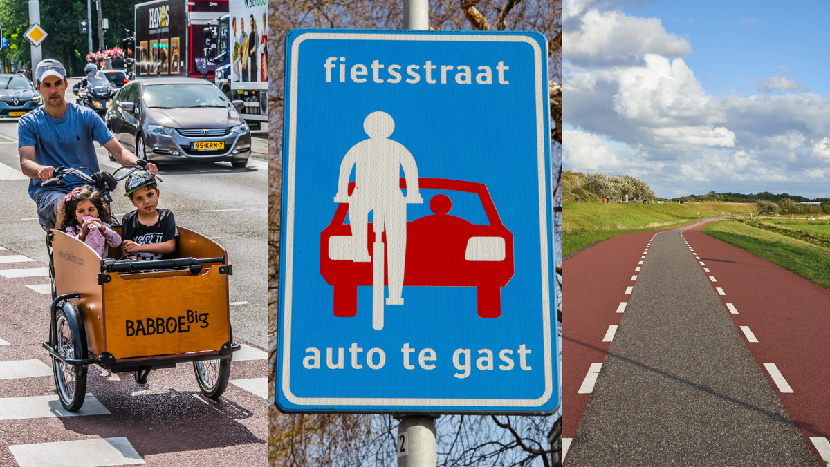 W Holandii rowerzyści to "święte krowy", a kierowcy zawsze są winni