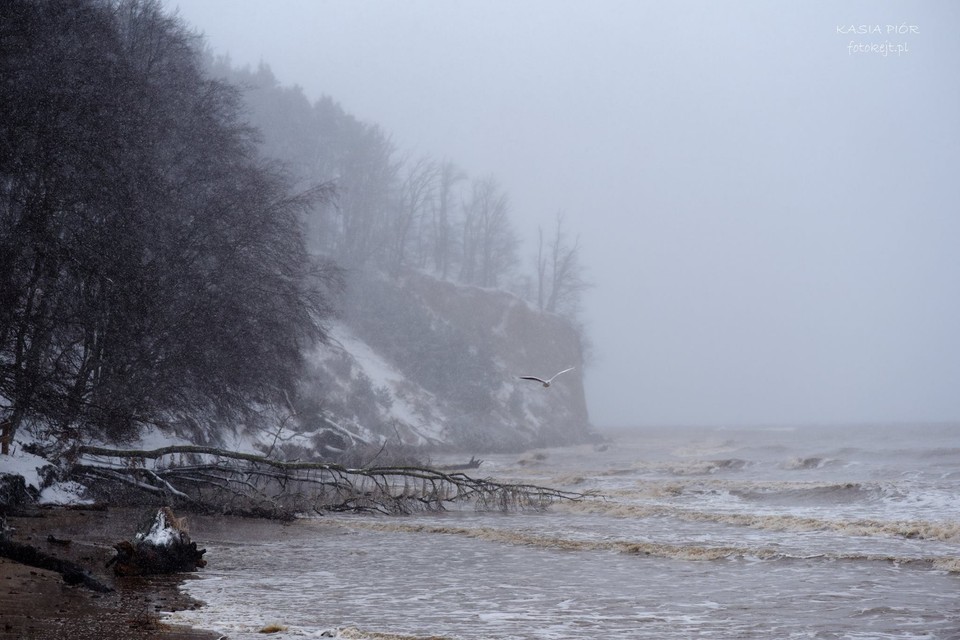 Gdynia Orłowo