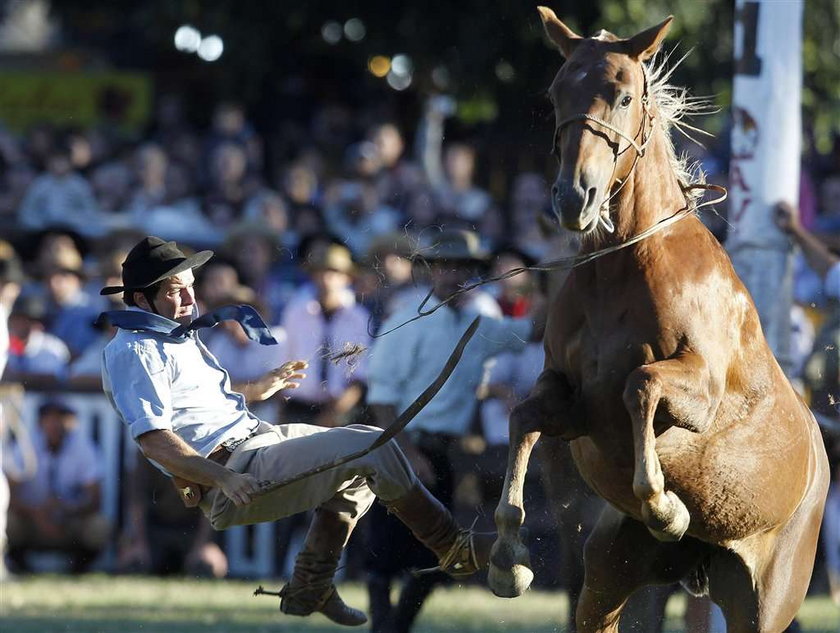 Ujeżdżanie koni w Urugwaju