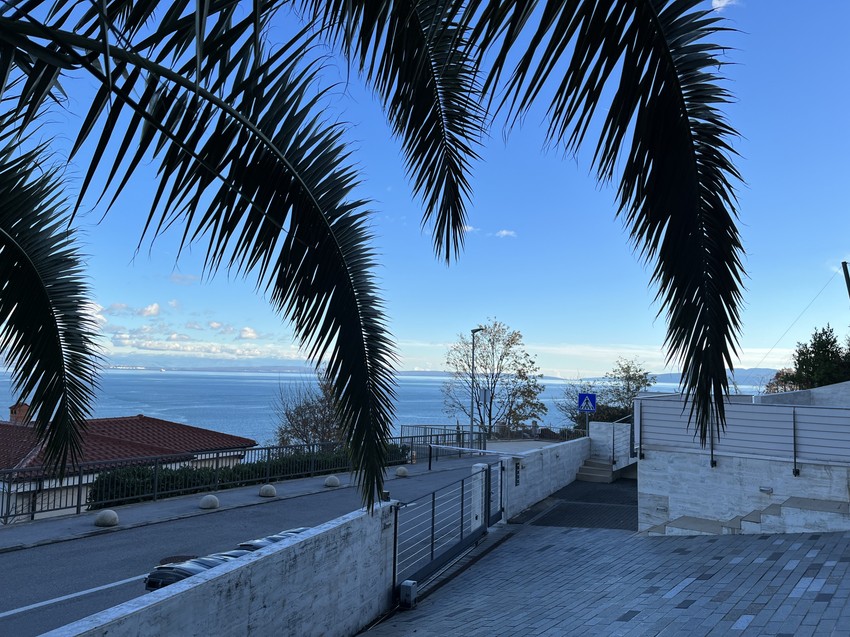 Vila Saše i Suzane u Opatiji