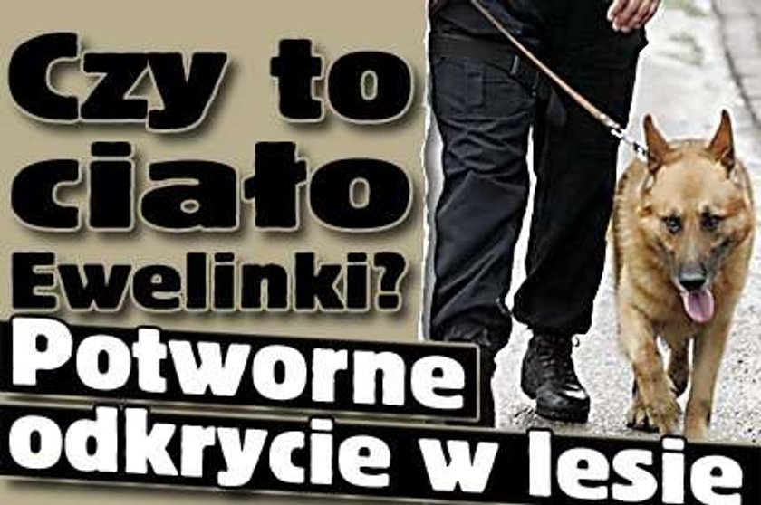 To ciało Ewelinki? Potworne odkrycie w lesie