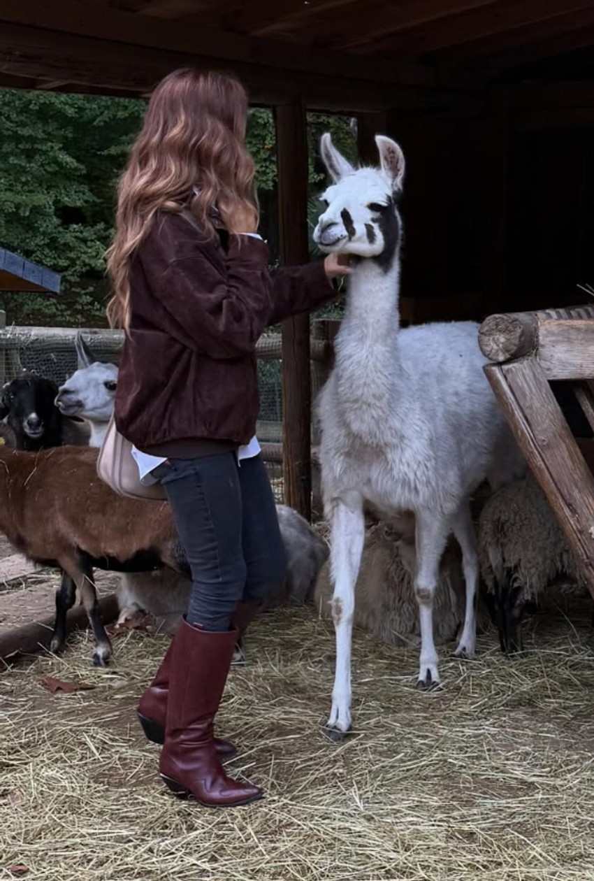 Nikolina Pišek, objava