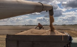 Poważny kłopot z wznowieniem eksportu ukraińskiego zboża [RELACJA NA ŻYWO]