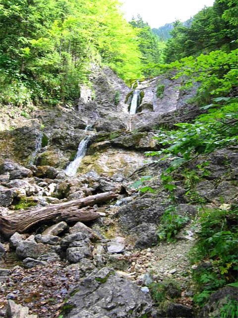 Galeria Polska - Tatry, Dolina Białego, obrazek 10