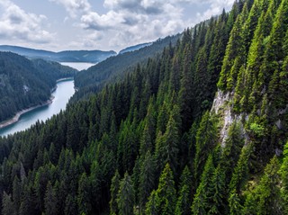 „Pożytki z katorgi”. Polityka na końcu świata