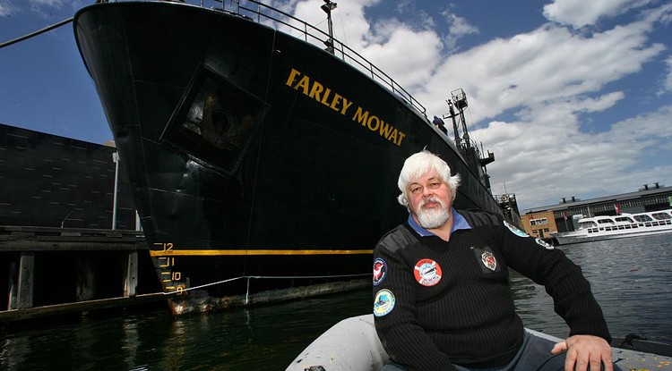 Paul Watson