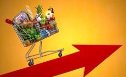 NBP: Inflacja w tym roku wyniesie 4,9 proc.