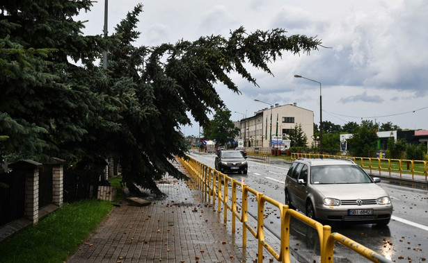 Powalone drzewa po nawałnicy