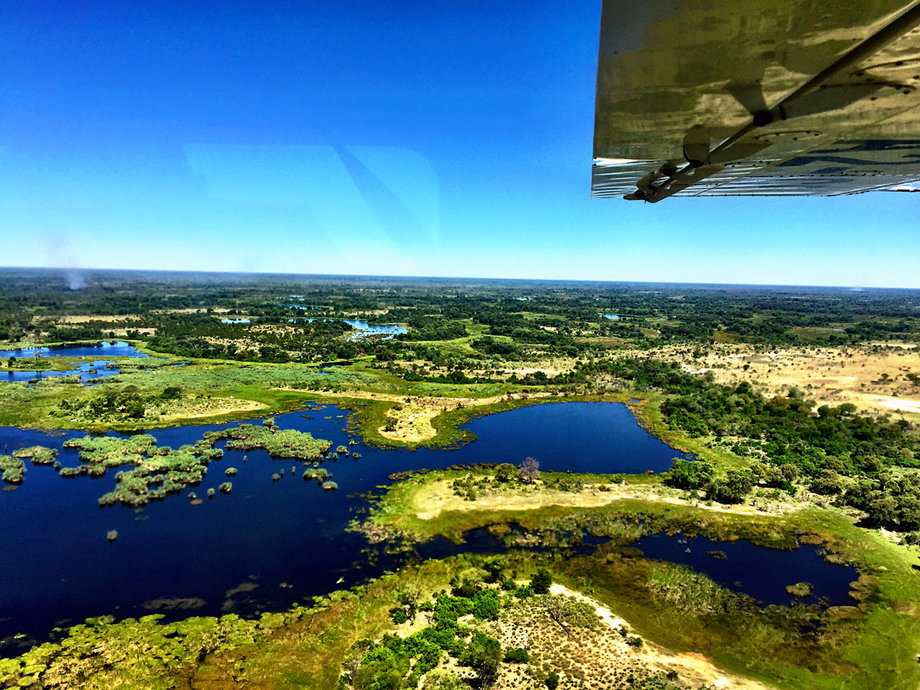 The couple then caught a flight on a small island-hopper plane to the Okavango Delta in Botswana, where they were treated to gorgeous views below.