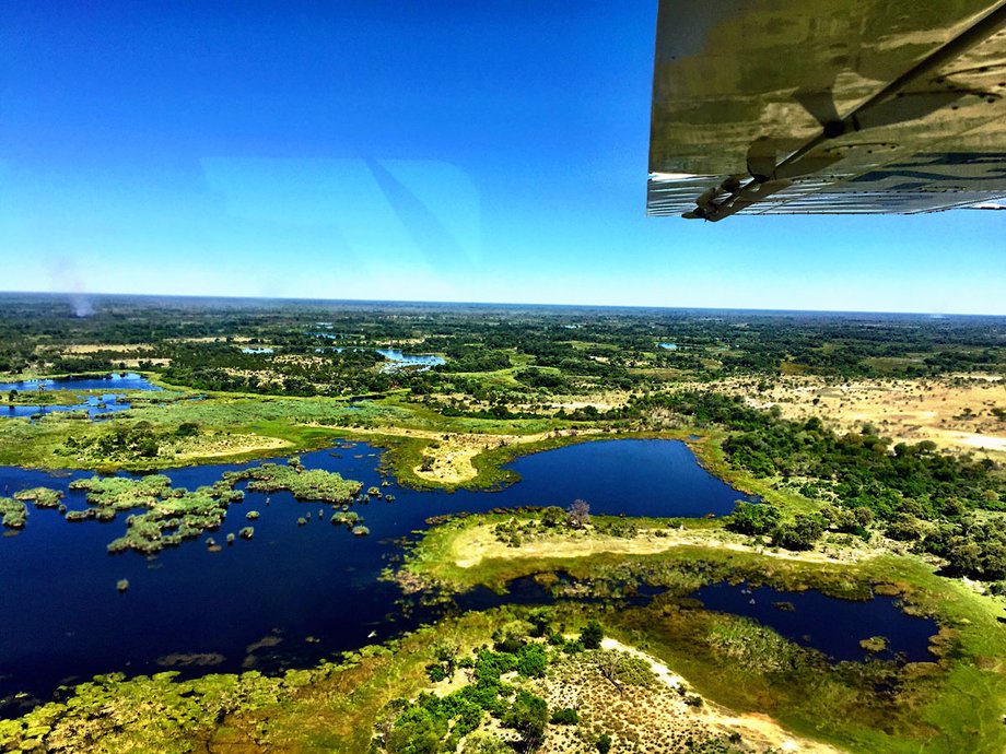 The couple then caught a flight on a small island-hopper plane to the Okavango Delta in Botswana, where they were treated to gorgeous views below.