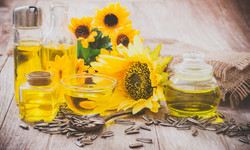 Olej słonecznikowy – zastosowanie, składniki odżywcze, właściwości