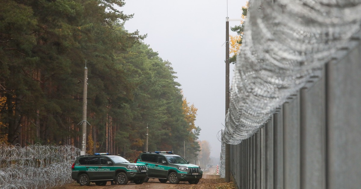 Puszcza Białowieska cierpi coraz mocniej. "Niektóre gatunki już się oddalają"