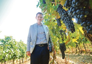 vinarija sremski karlovci vino foto Robert Getel